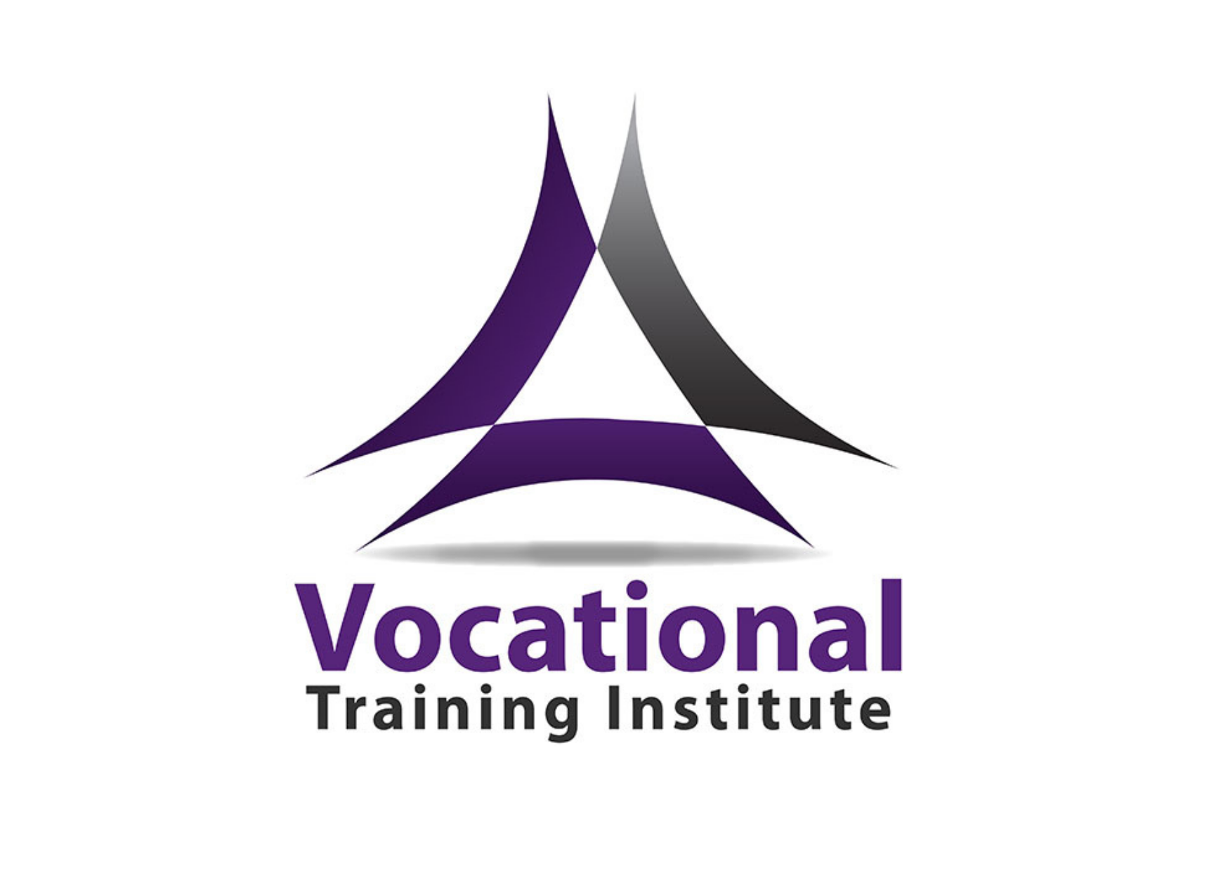 Vocational Training Institute 